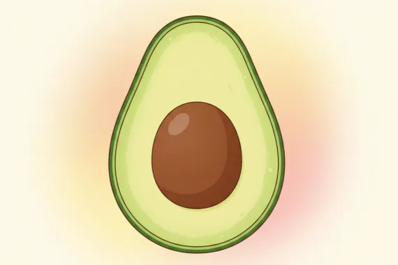 Imagen que representa la palabra aguacate