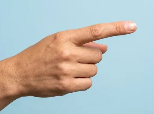 Imagen que representa la palabra dedo