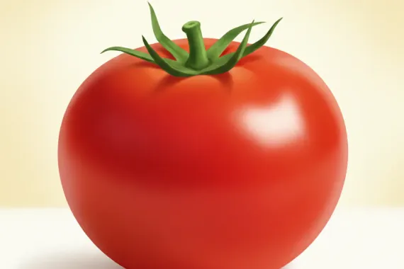Imagen que representa la palabra tomate